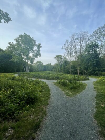 Sherrin Woods - Boston, MA