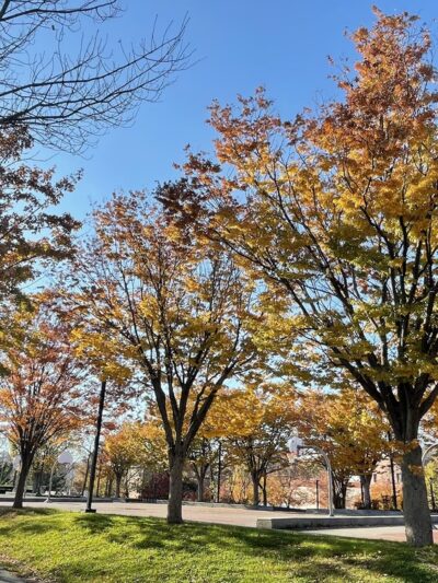 Southwest Corridor Park - Boston, MA