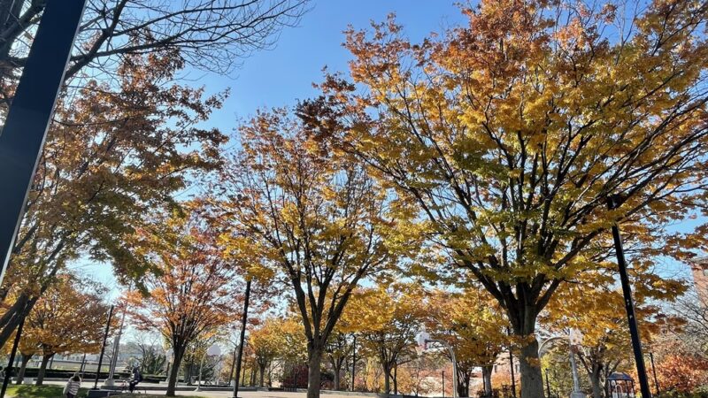 Southwest Corridor Park - Boston, MA