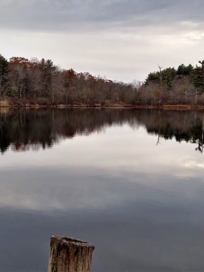 Stony Brook Park - Boston, MA