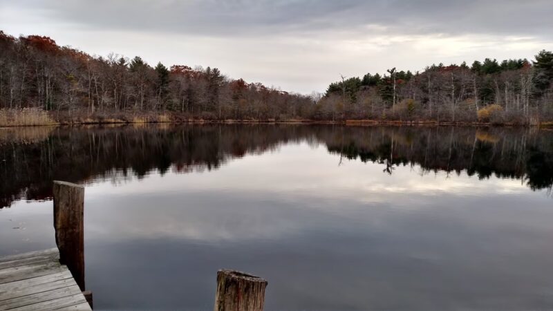 Stony Brook Park - Boston, MA