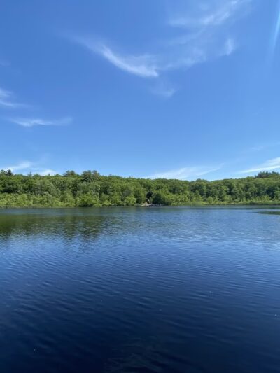 Stony Brook Park - Boston, MA