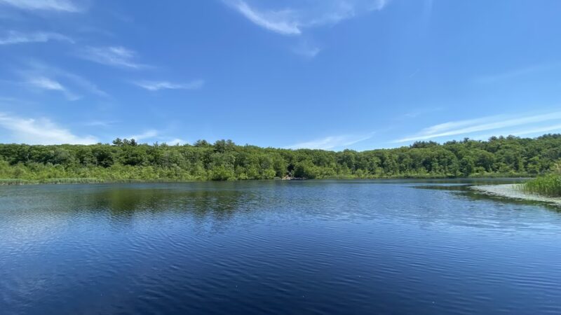 Stony Brook Park - Boston, MA