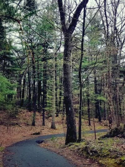 Stony Brook Park - Boston, MA