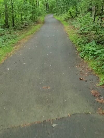 Stony Brook Reservation - Boston, MA