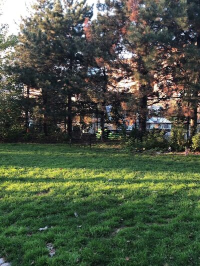 Wormwood Park - Boston, MA