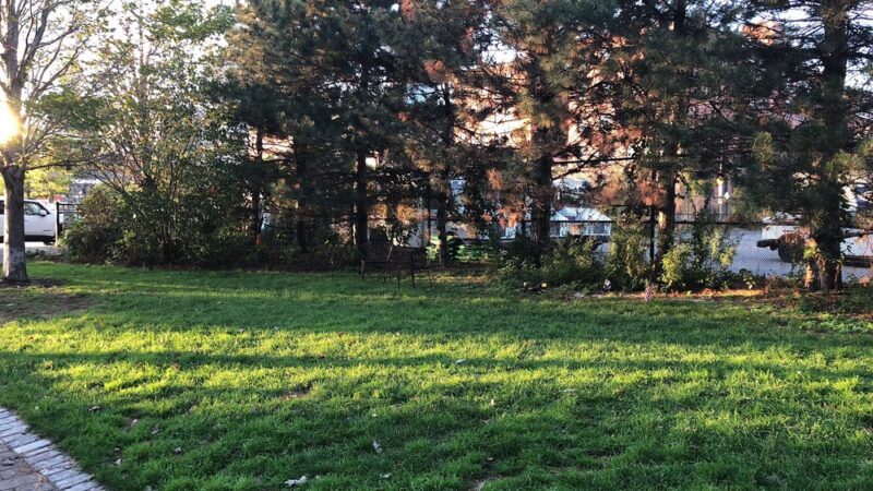 Wormwood Park - Boston, MA