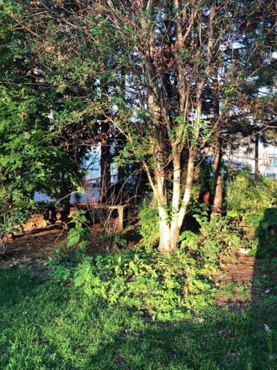 Wormwood Park - Boston, MA