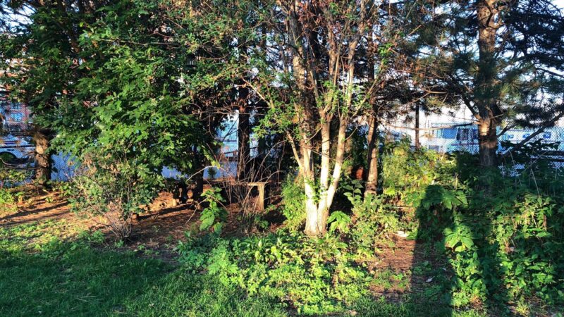 Wormwood Park - Boston, MA