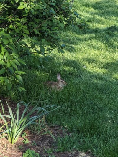 Wormwood Park - Boston, MA