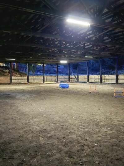 Linda's Private Arena for Dogs - Bothell, WA