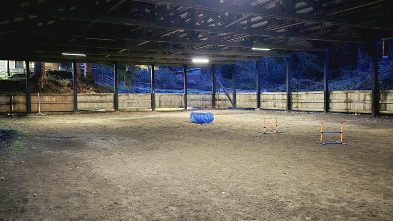 Linda's Private Arena for Dogs - Bothell, WA