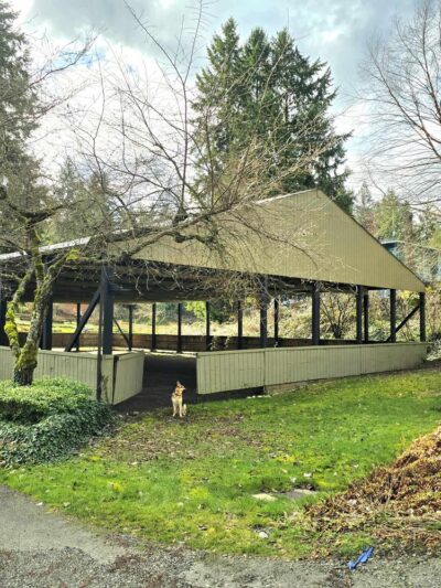 Linda's Private Arena for Dogs - Bothell, WA