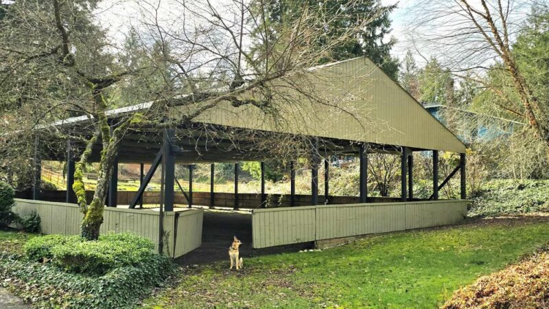 Linda's Private Arena for Dogs - Bothell, WA