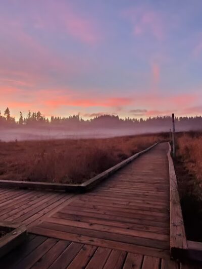 North Creek Trail - Bothell, WA