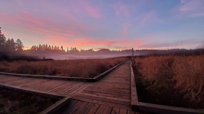 North Creek Trail - Bothell, WA