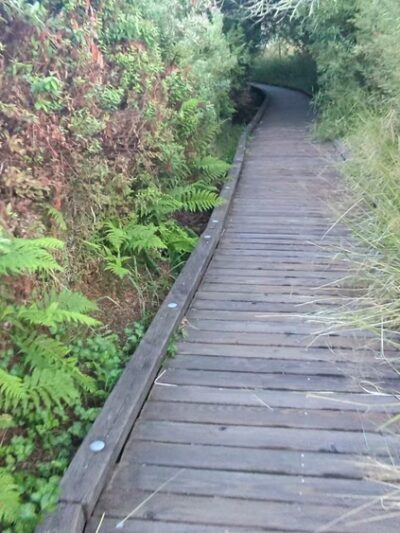 North Creek Trail - Bothell, WA