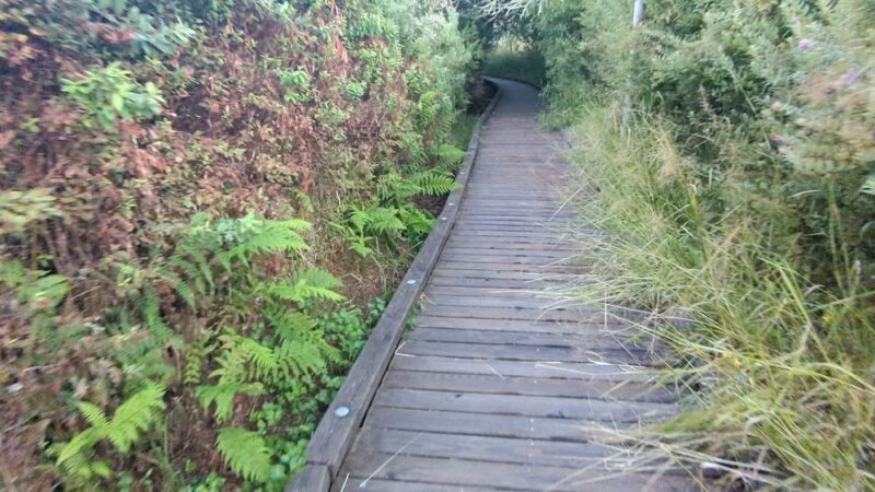 North Creek Trail - Bothell, WA