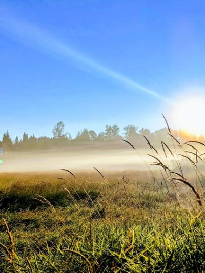 North Creek Trail - Bothell, WA