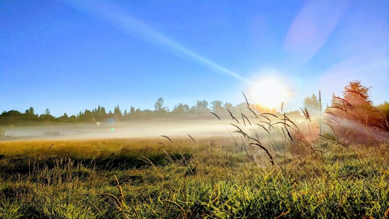 North Creek Trail - Bothell, WA