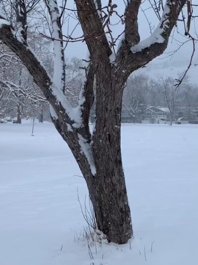 North Boulder Park - Boulder, CO