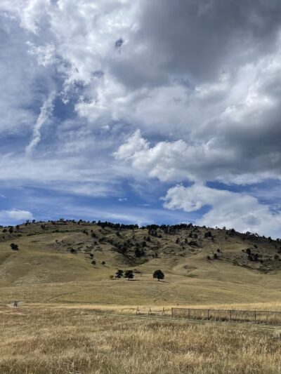 Foothills Community Park - Boulder, CO