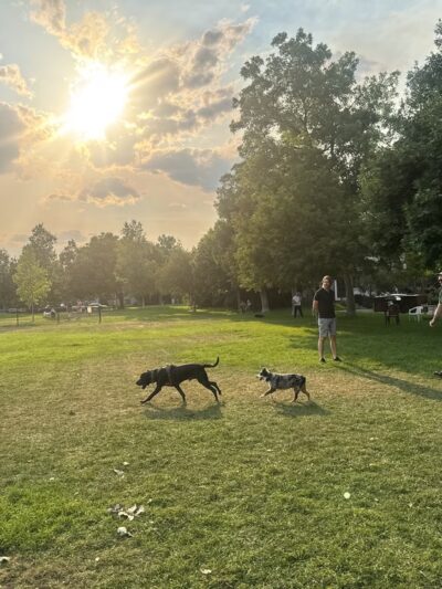 Howard Heuston Park - Boulder, CO