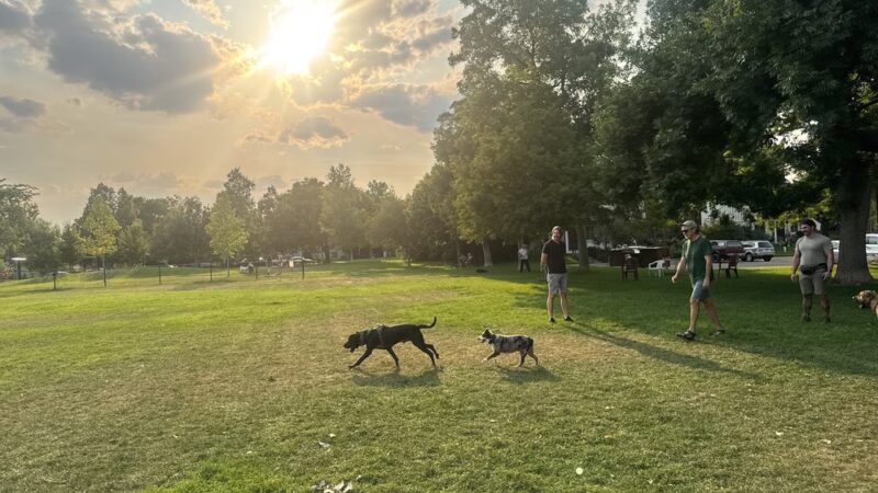 Howard Heuston Park - Boulder, CO