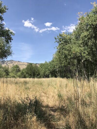 Primos Park - Boulder, CO
