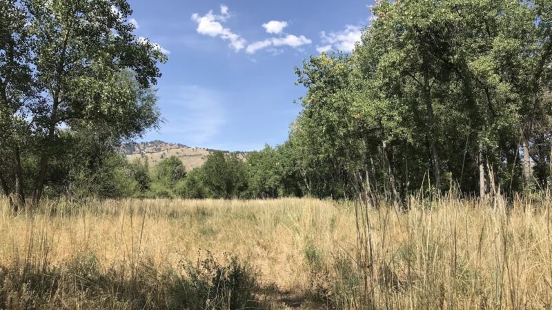 Primos Park - Boulder, CO