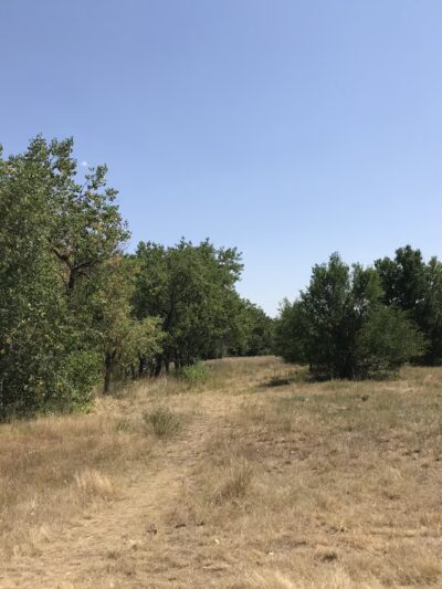 Primos Park - Boulder, CO