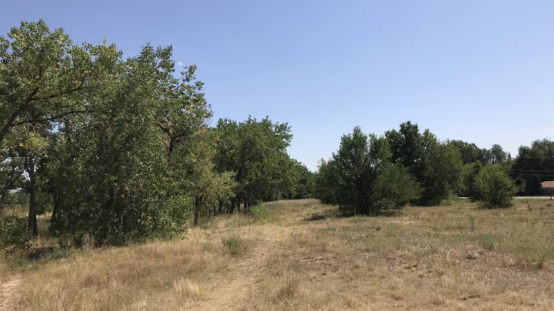 Primos Park - Boulder, CO