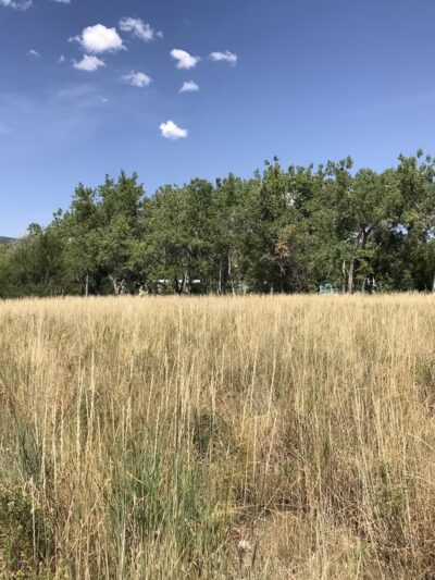 Primos Park - Boulder, CO