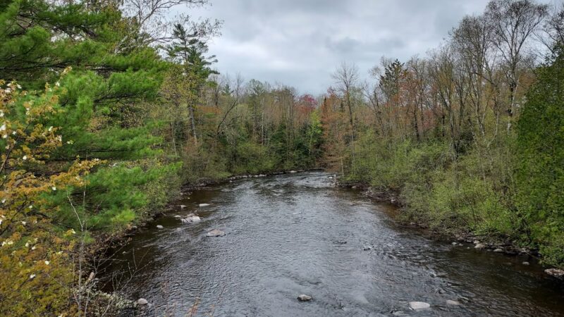 Heart of Vilas County Bike Trail - Boulder Junction - Boulder Junction, WI