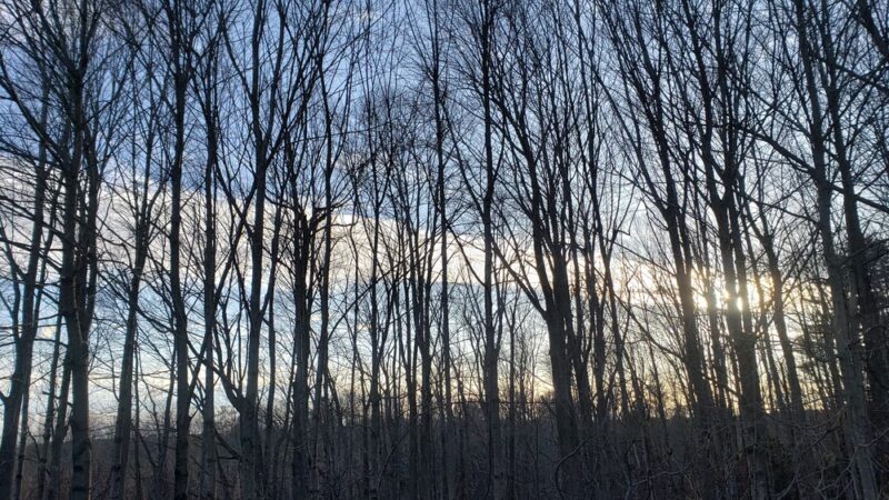 Bowdoinham - Bowdoinham, ME