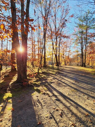 Bowdoinham Wildlife Management Area - Bowdoinham, ME
