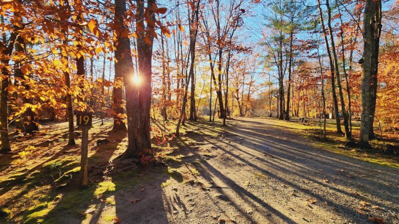 Bowdoinham Wildlife Management Area - Bowdoinham, ME