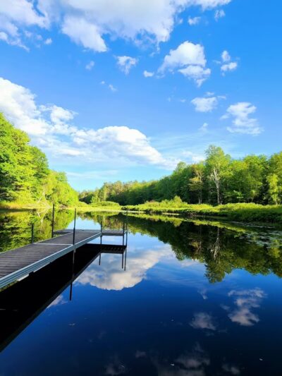 Bowdoinham Wildlife Management Area - Bowdoinham, ME