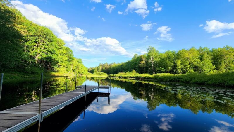 Bowdoinham Wildlife Management Area - Bowdoinham, ME