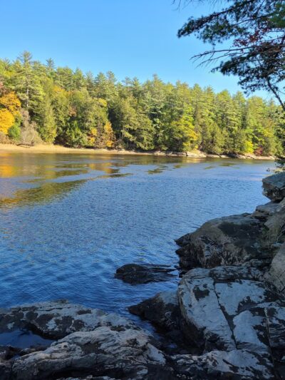 Steve Powell Wildlife Management Area (SWAN ISLAND) - Bowdoinham, ME