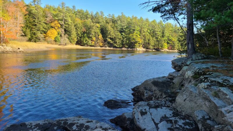 Steve Powell Wildlife Management Area (SWAN ISLAND) - Bowdoinham, ME
