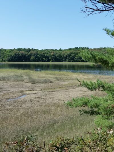 Steve Powell Wildlife Management Area (SWAN ISLAND) - Bowdoinham, ME
