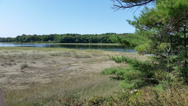 Steve Powell Wildlife Management Area (SWAN ISLAND) - Bowdoinham, ME
