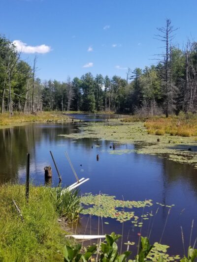 Steve Powell Wildlife Management Area (SWAN ISLAND) - Bowdoinham, ME