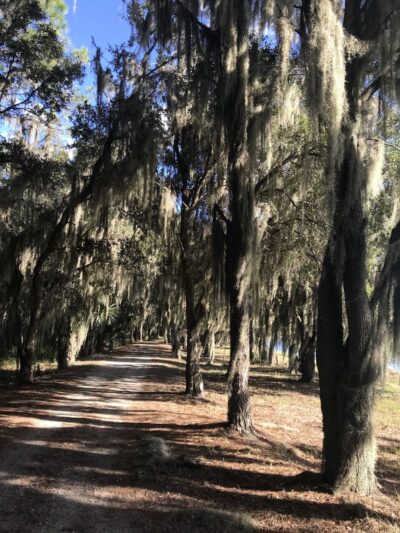 Hardee County Lakes - Bowling Green, FL