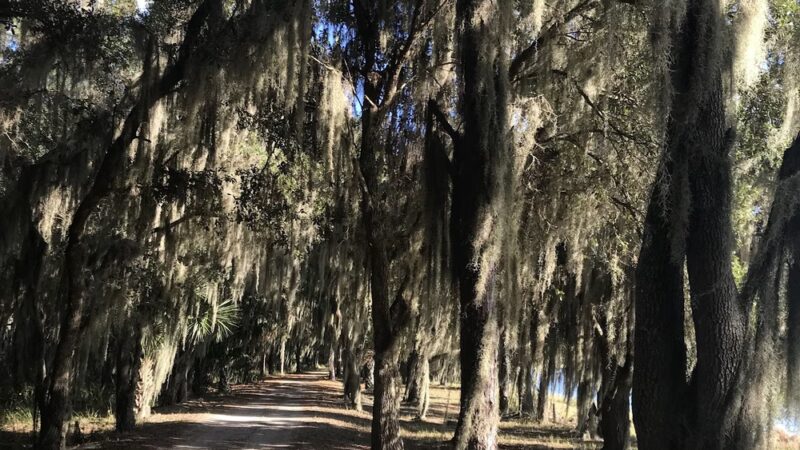 Hardee County Lakes - Bowling Green, FL