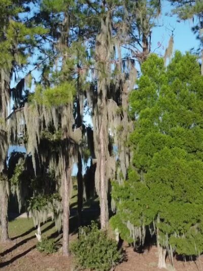 Hardee County Lakes - Bowling Green, FL