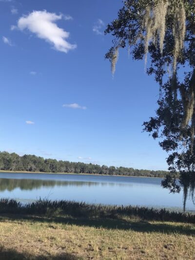 Hardee County Lakes - Bowling Green, FL