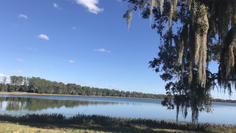 Hardee County Lakes - Bowling Green, FL