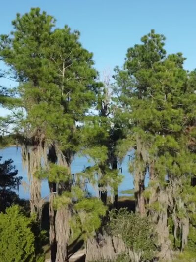 Hardee County Lakes - Bowling Green, FL